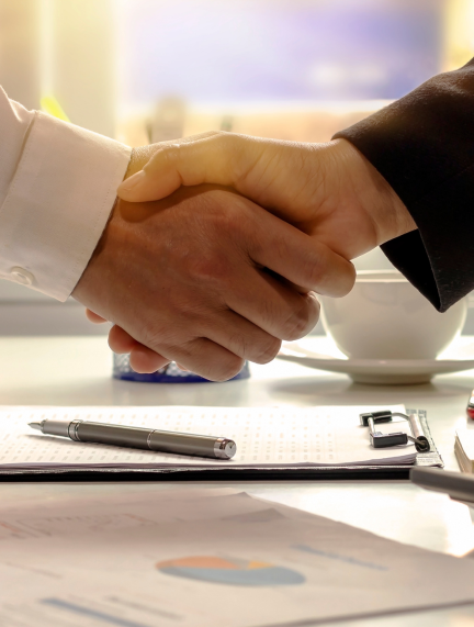 Switchhigh Business Consultation