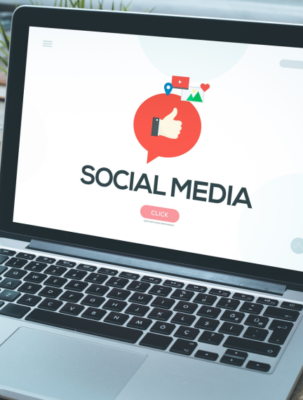 Ecommerce Websites